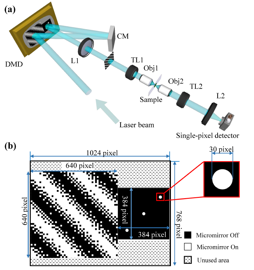 Doubling the pixel count limitation of single-pixel imaging via sinusoidal amplitude modulation
