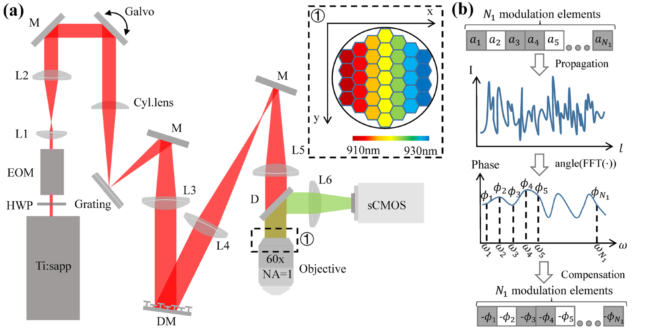 Hybrid spatio-spectral coherent adaptive compensation for line-scanning temporal focusing microscopy