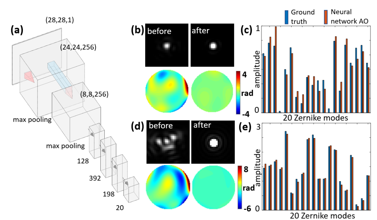 Robust sensorless wavefront sensing via neural network in a single-shot