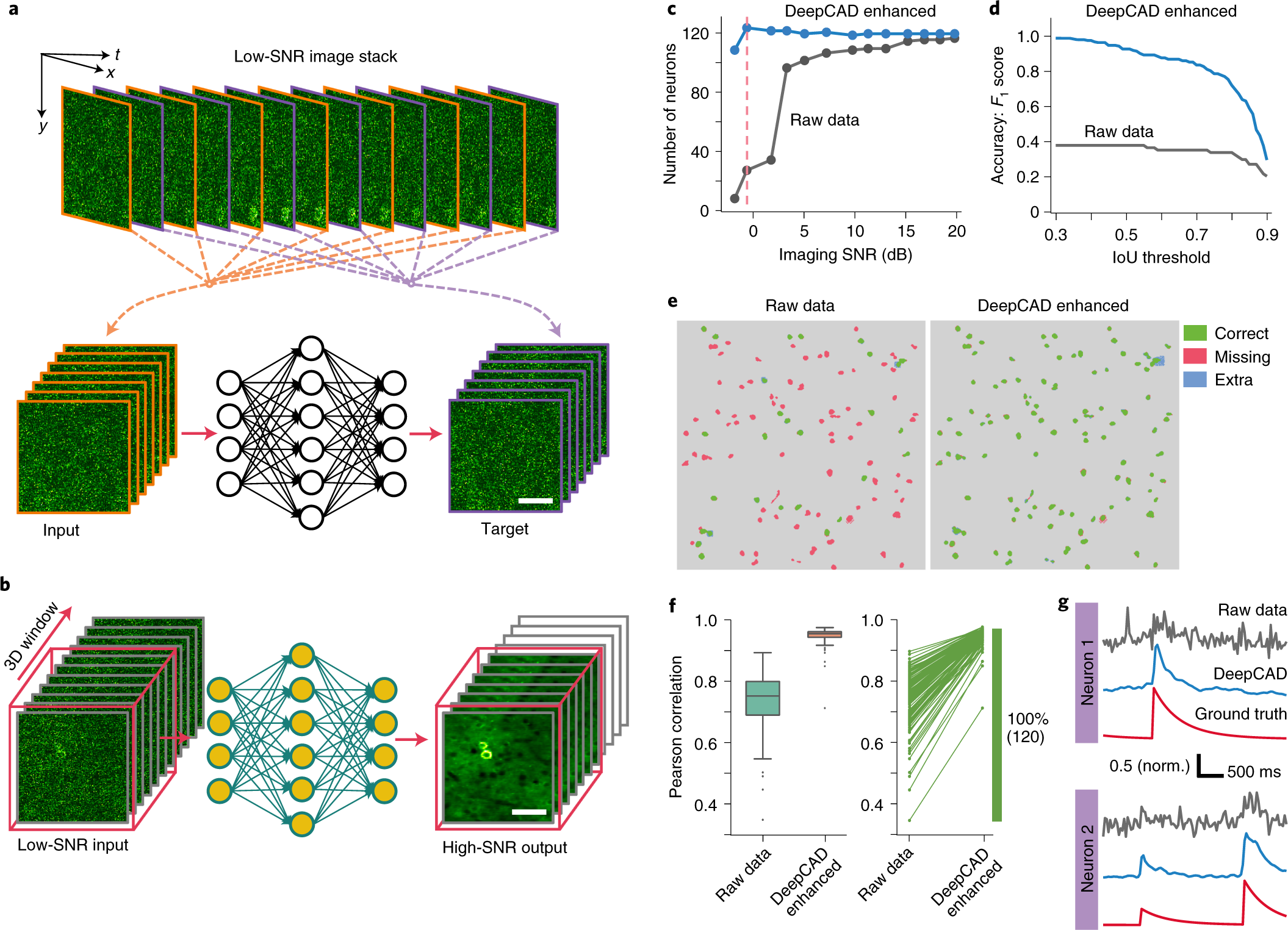 Reinforcing neuron extraction and spike inference in calcium imaging using deep self-supervised denoising