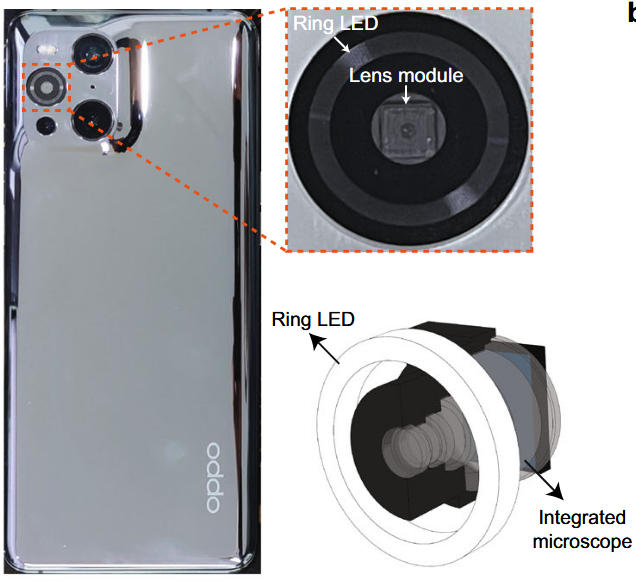 Large depth-of-field ultra-compact microscope by progressive optimization and deep learning